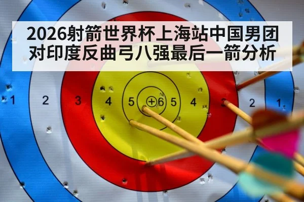 archery arrows target closeup